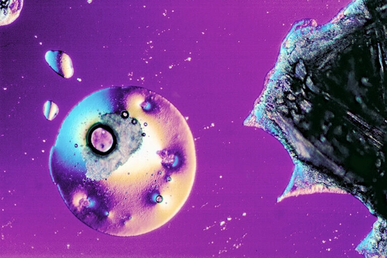 image of Math