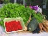 image of Pesticides and Our Crops