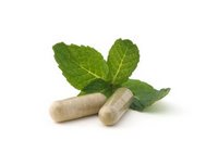y-supplement1.jpg