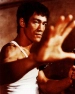 Martial Arts Diversity and Animal Rights Strategy