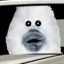 image of KG