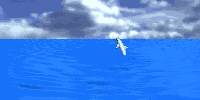 y-dolphin1jmpsky.gif