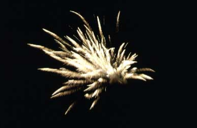 image of Hacking the Fireworks Firewall