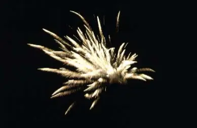 Problem fireworks discharge creates and some solutions.